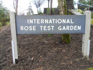The International Rose Test Garden in Washington Park