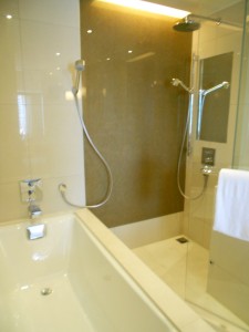 Beautiful modern and spacious shower and tub.