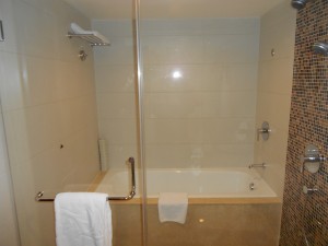 Very large shower and bathtub.