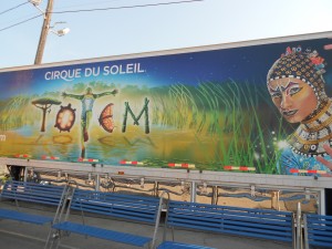 TOTEM was the 9th Cirque du Soleil show I've seen so far.