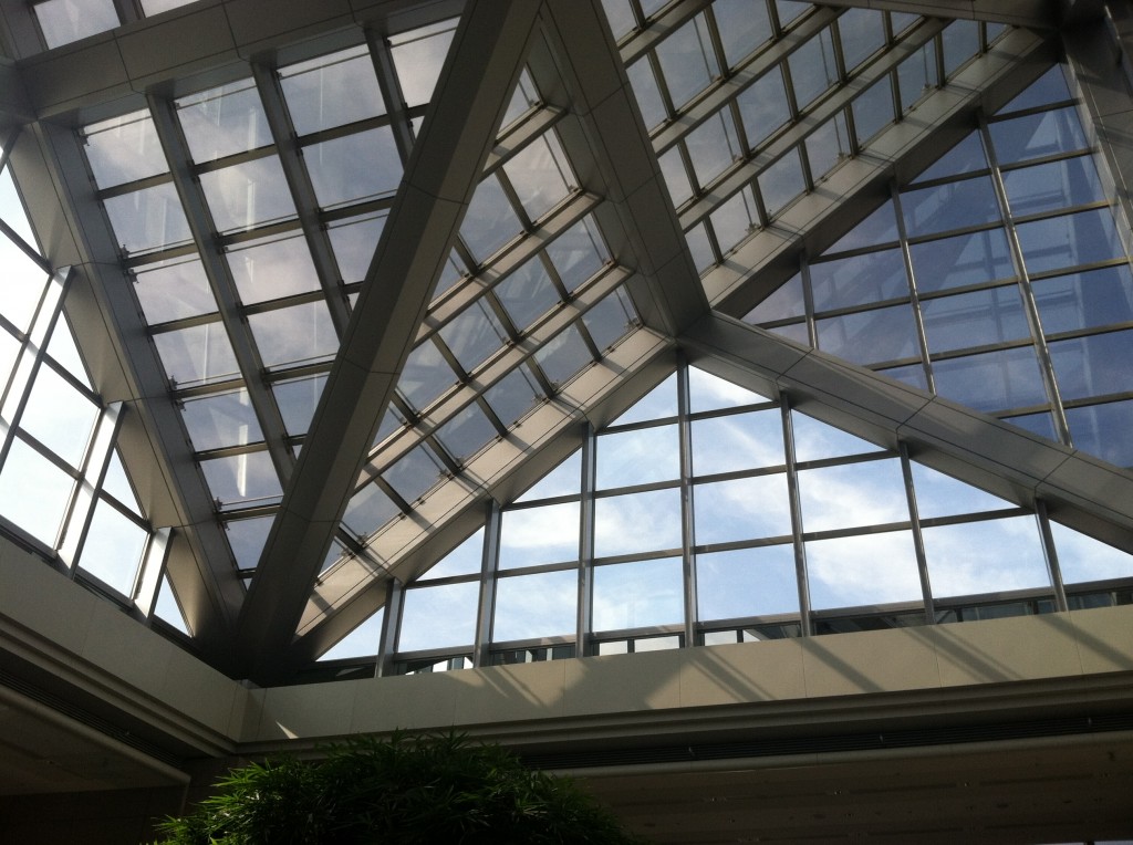 a glass roof with many windows